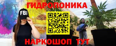 стаф Канаш