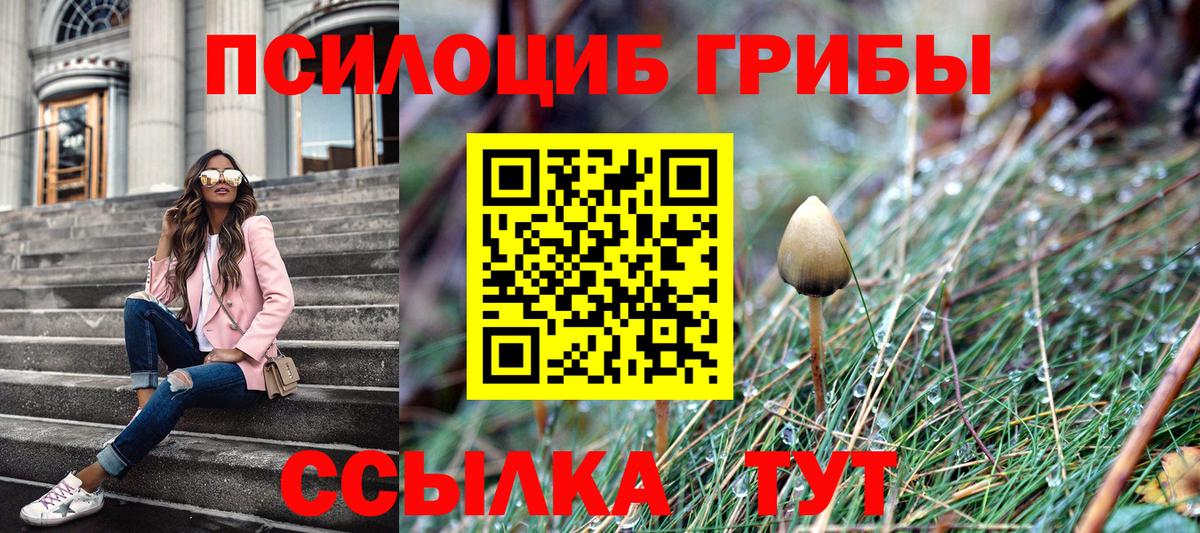 Псилоцибиновые грибы ЛСД  Псилоцибиновые грибы ЛСД  Вход с VPN  Кириши 