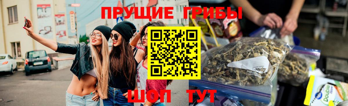 Галлюциногенные грибы MAGIC MUSHROOMS Кириши
